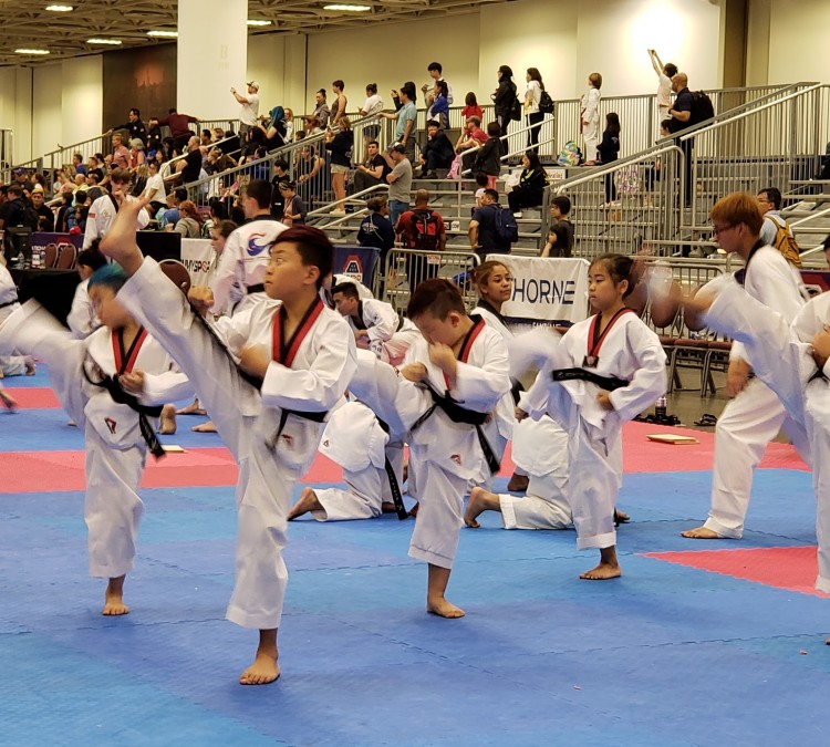 ktigers-usa-taekwondo-photo
